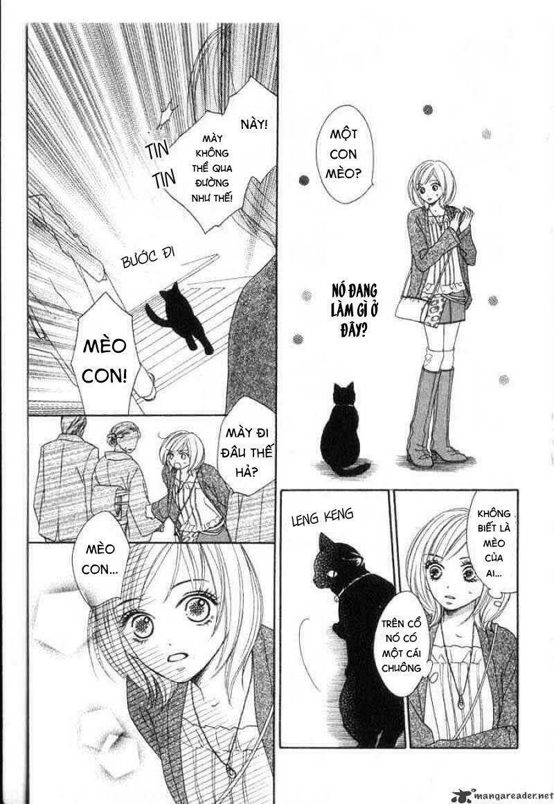 hoàng hậu hậu trường chapter 1 12