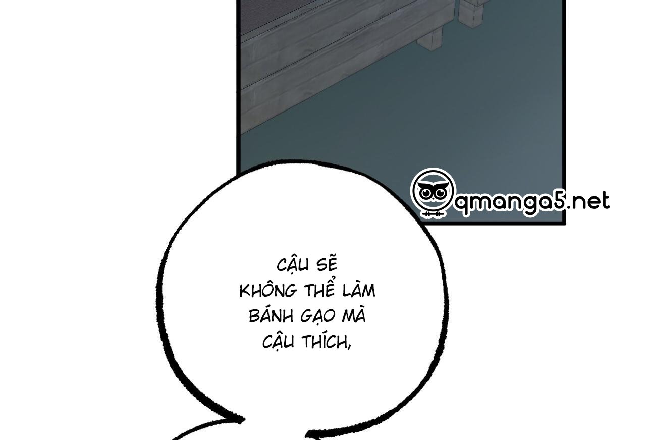 những chú thỏ của hapypy chapter 61 80