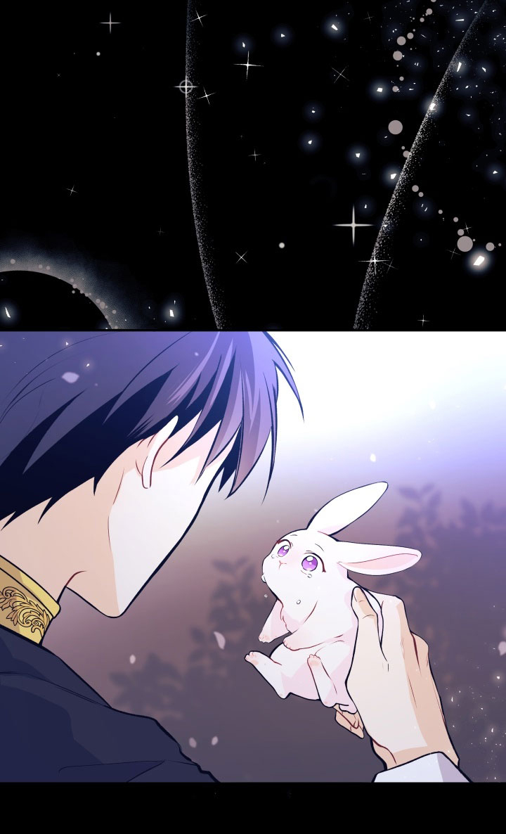 mối liên kết giữa báo đen và bé thỏ chapter 1 31