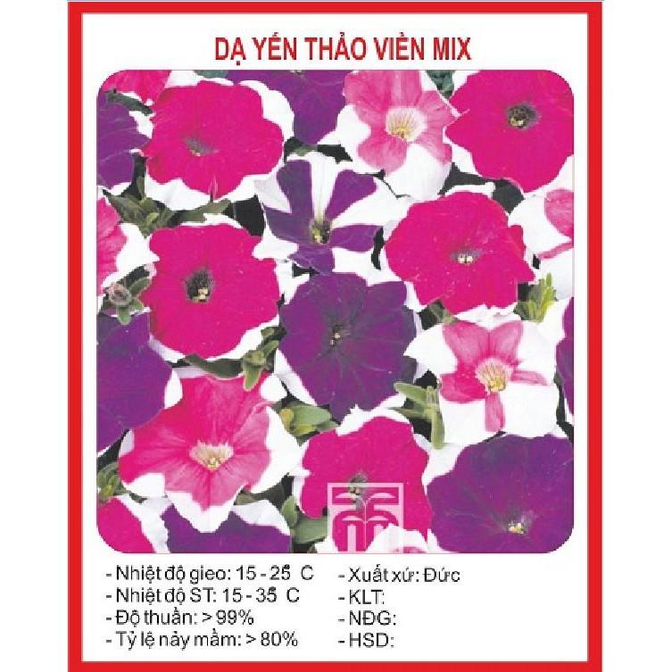 Hạt giống Hoa Dạ yến thảo viền F1 Mix – 5Hạt/gói