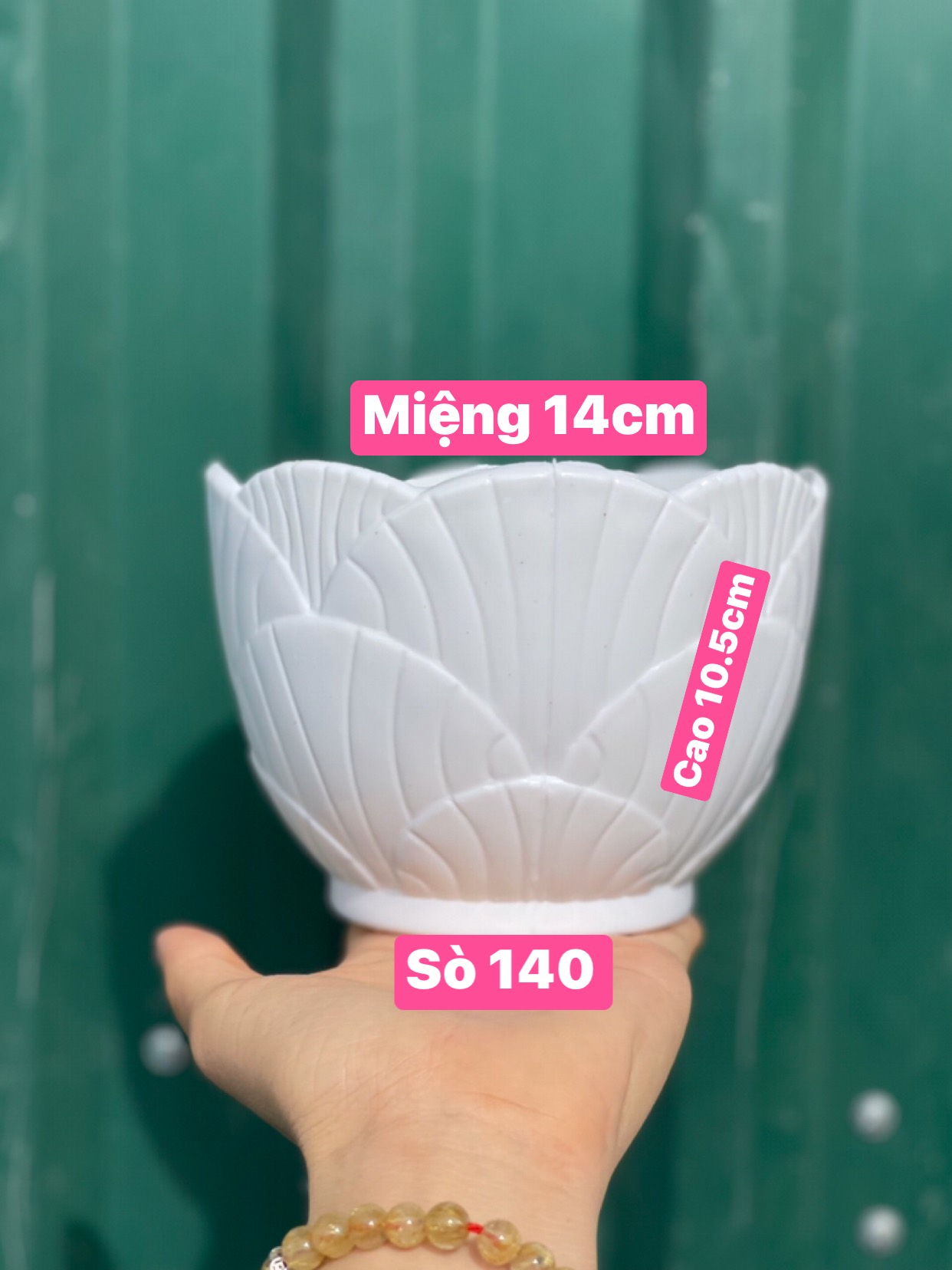 Chậu Nhựa Sò trắng trồng hoa để bàn KT 14 x10.5 x 9 cm