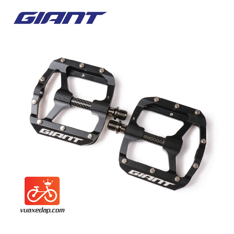 BÀN ĐẠP GIANT – HILL CARBON