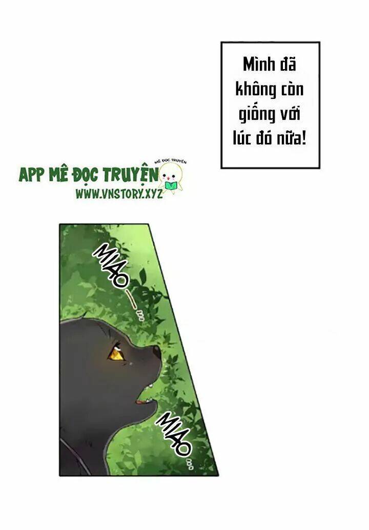 ngàn vạn nụ hôn đầu chapter 1 37