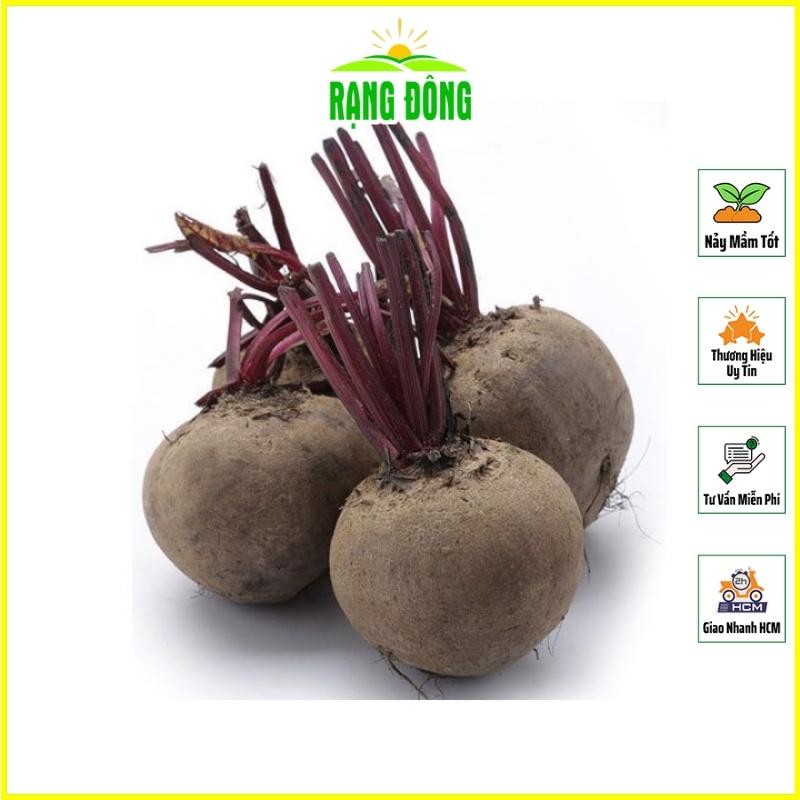 Hạt giống Củ Dền Đỏ Ngọt, Trồng Quanh Năm, Kháng Sâu Bệnh Tốt - Hạt giống Rạng Đông