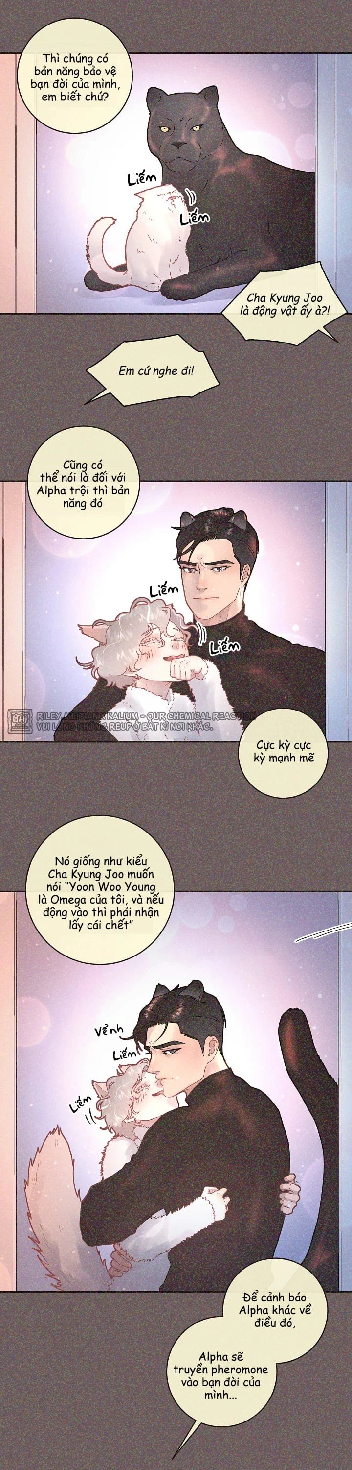 làm cách nào để theo đuổi một alpha? chapter 51 5