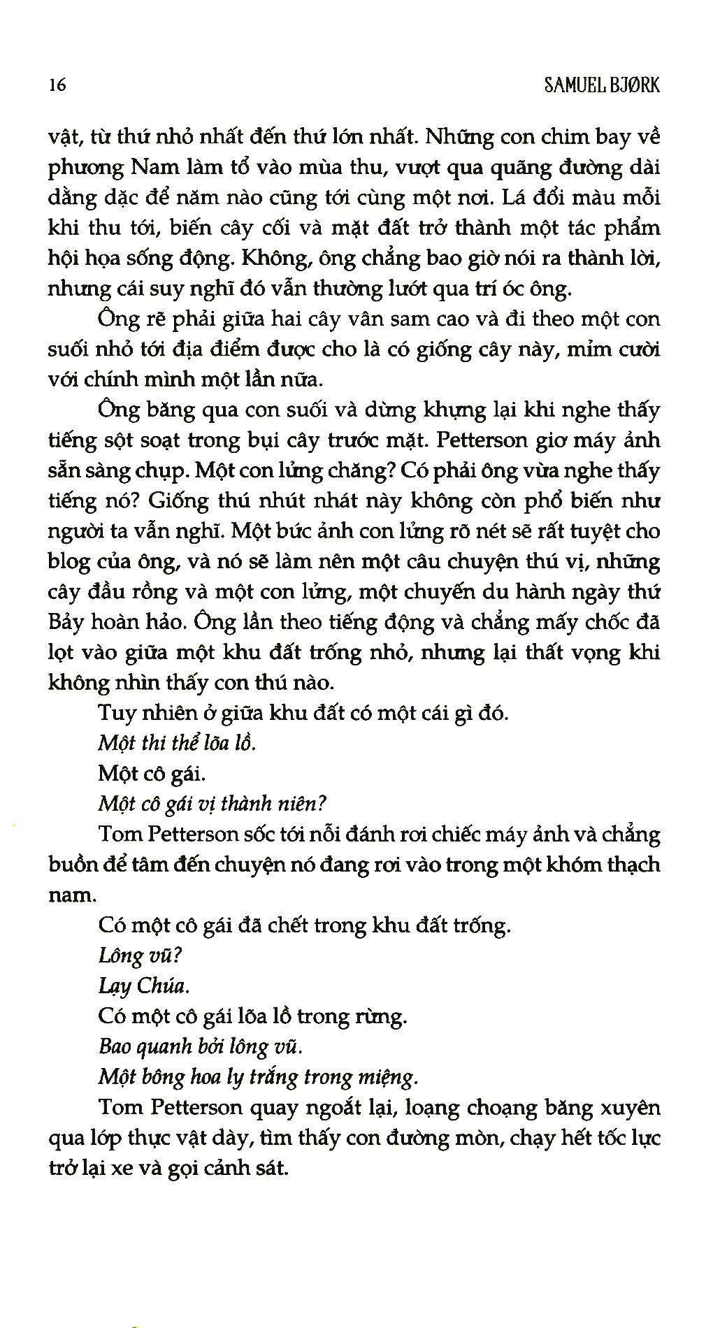 Cú Săn Đêm