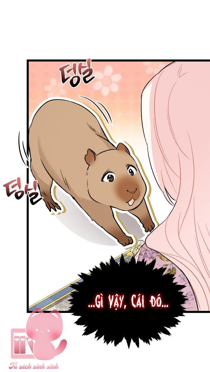 quan hệ cộng sinh giữa báo đen và thỏ trắng chapter 123 39