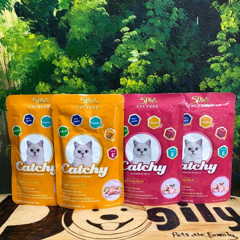 Combo 12 gói Pate Catchy 70gram 2 vị cao cấp danh cho mèo