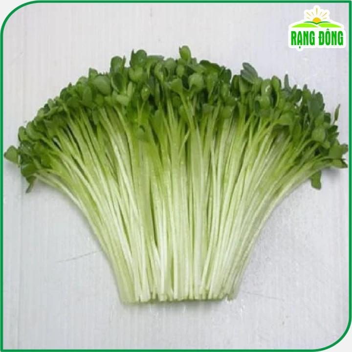 Hạt giống Rau Mầm Củ Cải Trắng Dễ Trồng, Nhanh Thu Hoạch - Hạt Giống Rạng Đông