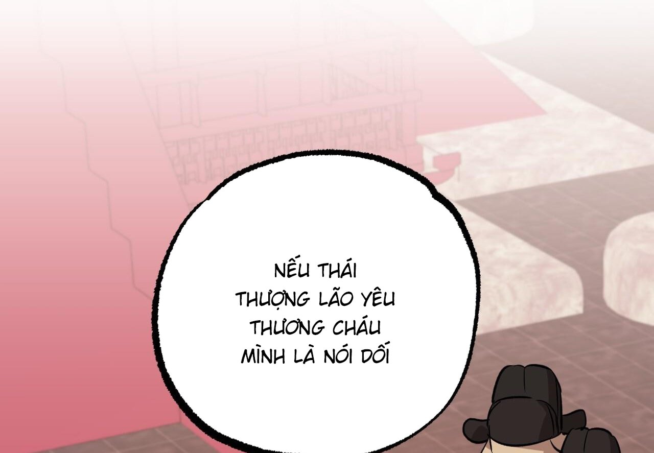 những chú thỏ của hapypy chapter 62 282