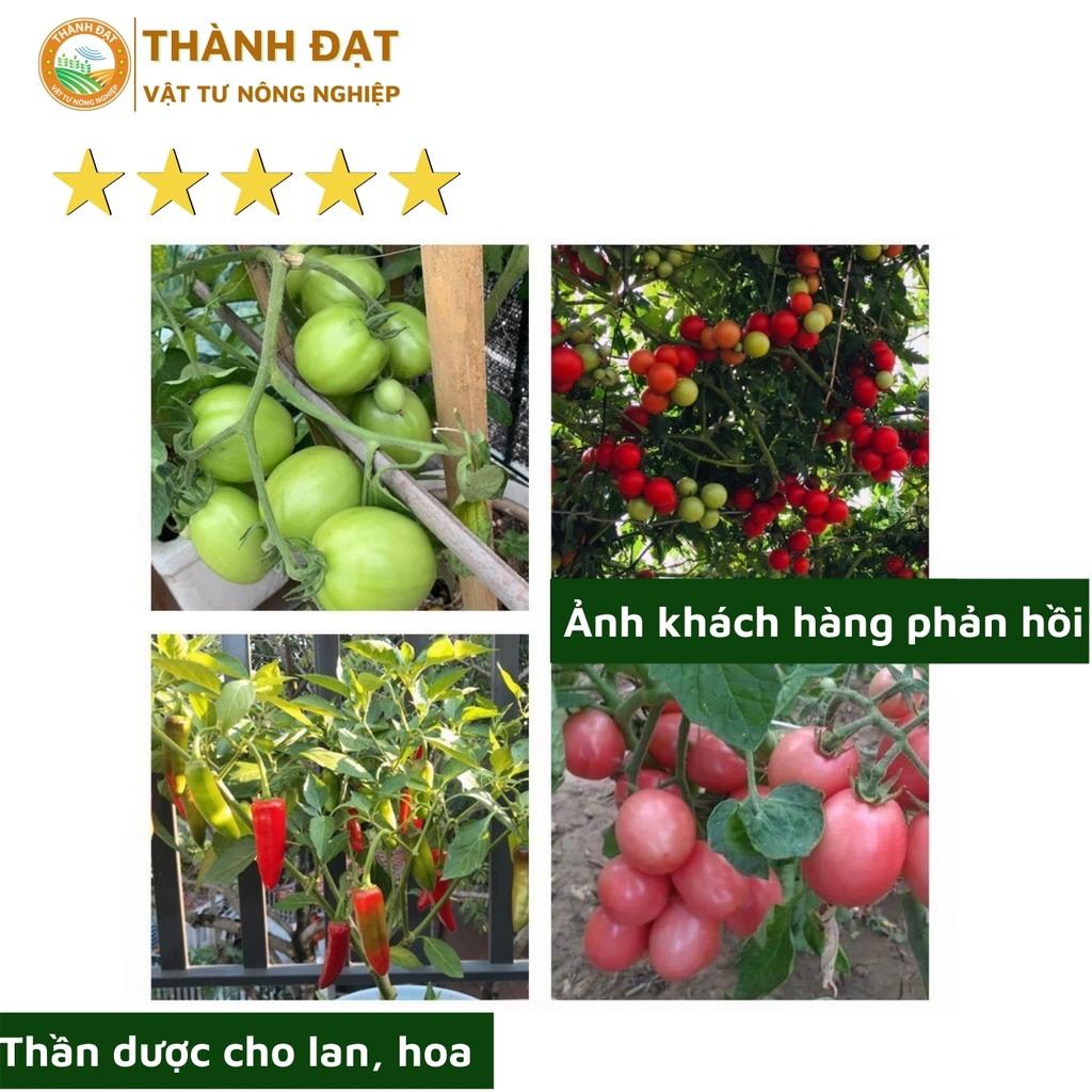 Phân bón thông minh Rynan 5 loại, phân bón tan chậm có kiểm soát cho cây kiểng và hoa lan phát triển toàn diện, lọ 150g