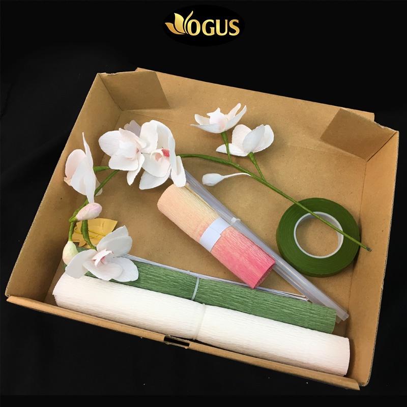 Set Nguyên Liệu Handmade Làm Hoa Lan Hồ Điệp Giấy Nhún Dùng Decor Trang Trí Nhà Cửa Văn Phòng Có Video HD Cách Làm