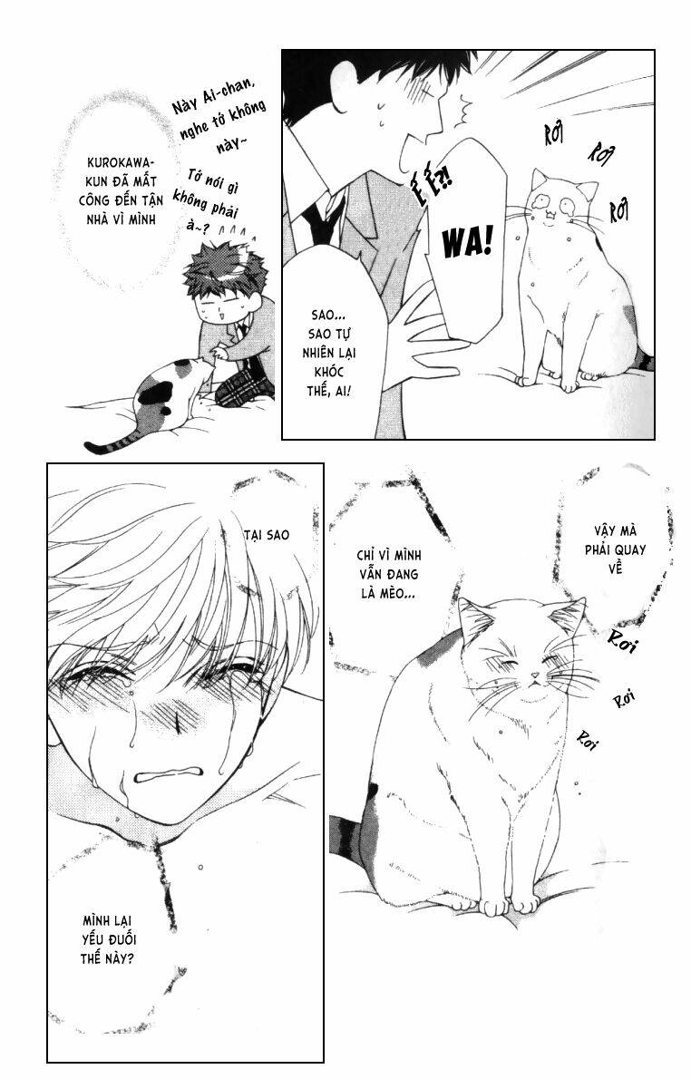 neko neko honey chapter 4 8