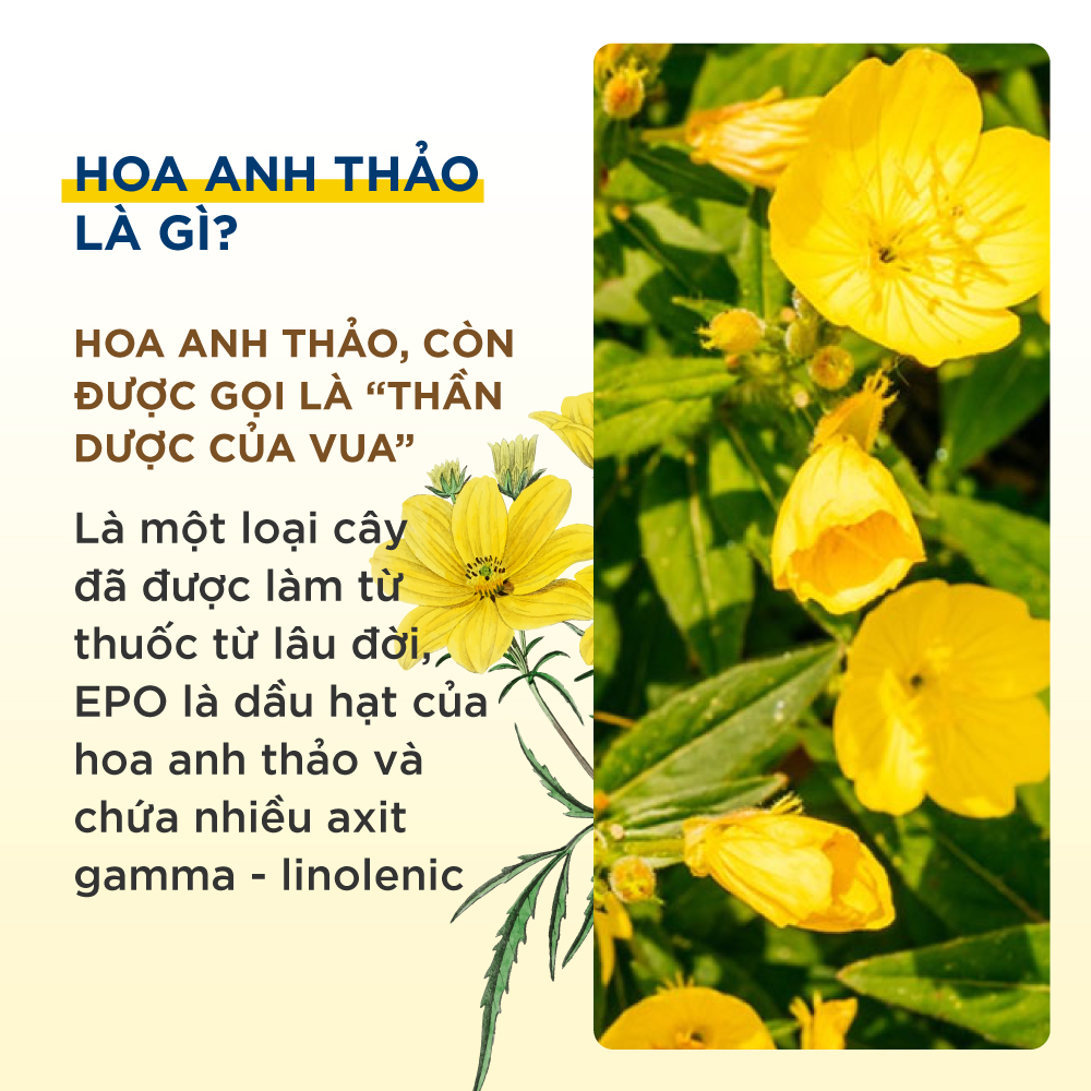 Viên Uống Bổ Sung Dầu Hoa Anh Thảo Nguyên Chất Efamol Pure Evening Primrose Oil, Giúp Cân Bằng Nội Tiết Tố, Bảo Vệ Và Làm Sáng Da
