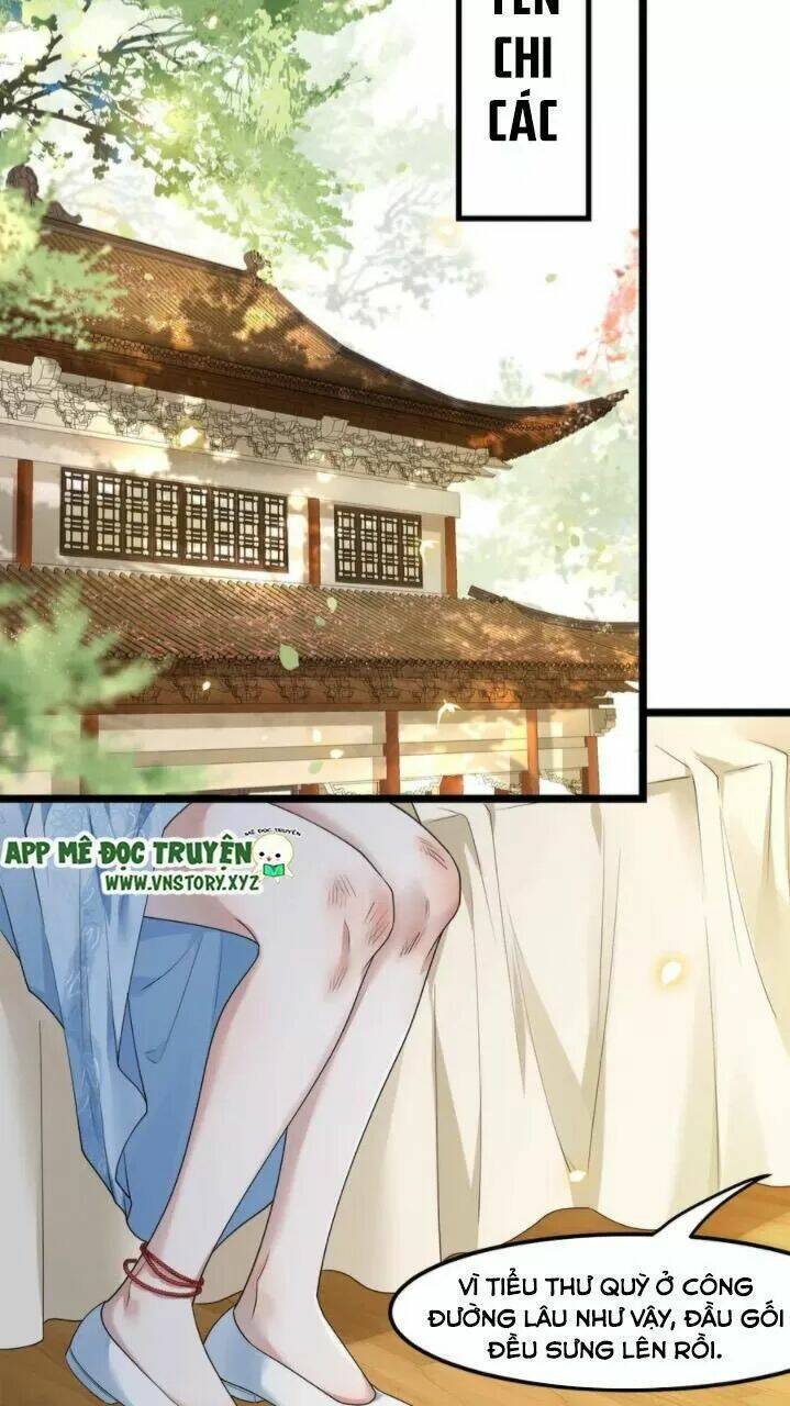 phượng hoàng vu phi chapter 61 25