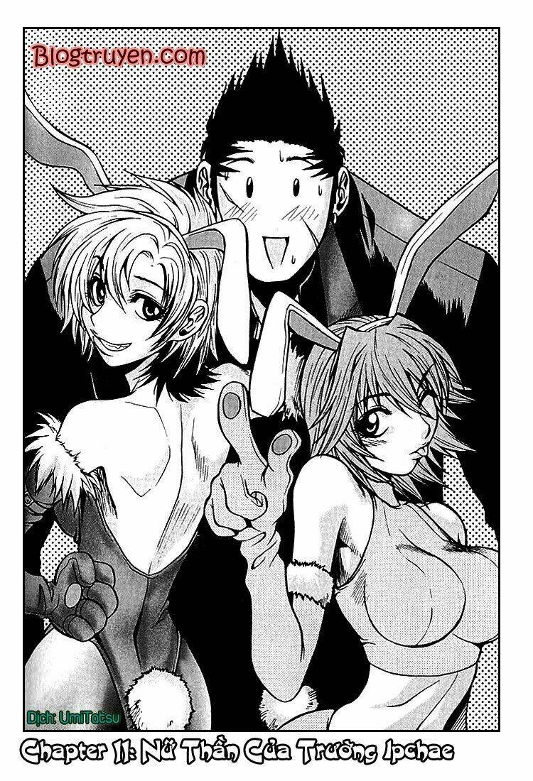 zippy ziggy chapter 11 1