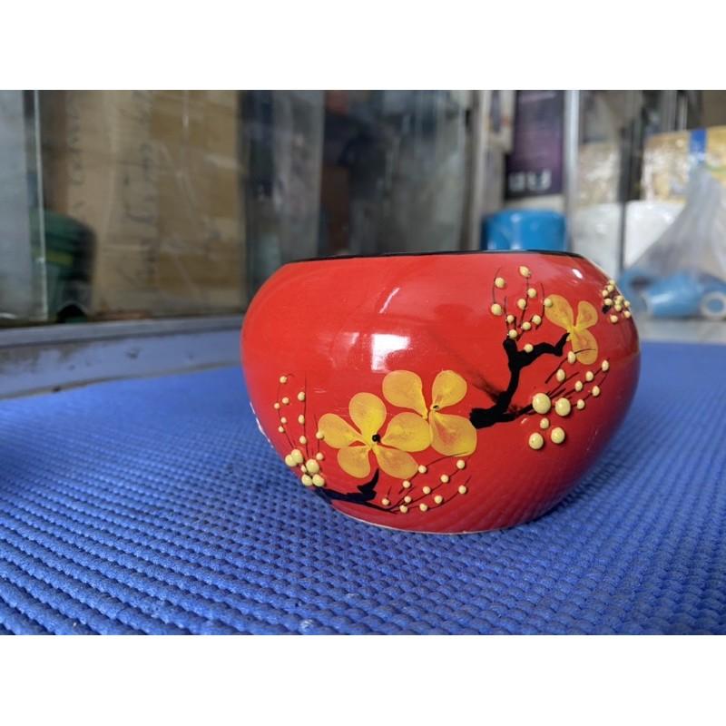 Chậu hoa mini tài Lộc ba màu