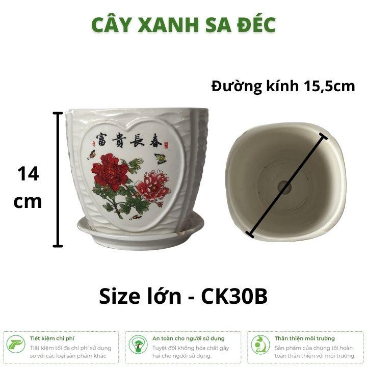 Bộ chậu men Trái Tim hình hoa hồng CK30 kèm dĩa size nhỏ và lớn trồng hoa, cây cảnh trang trí nhà cửa
