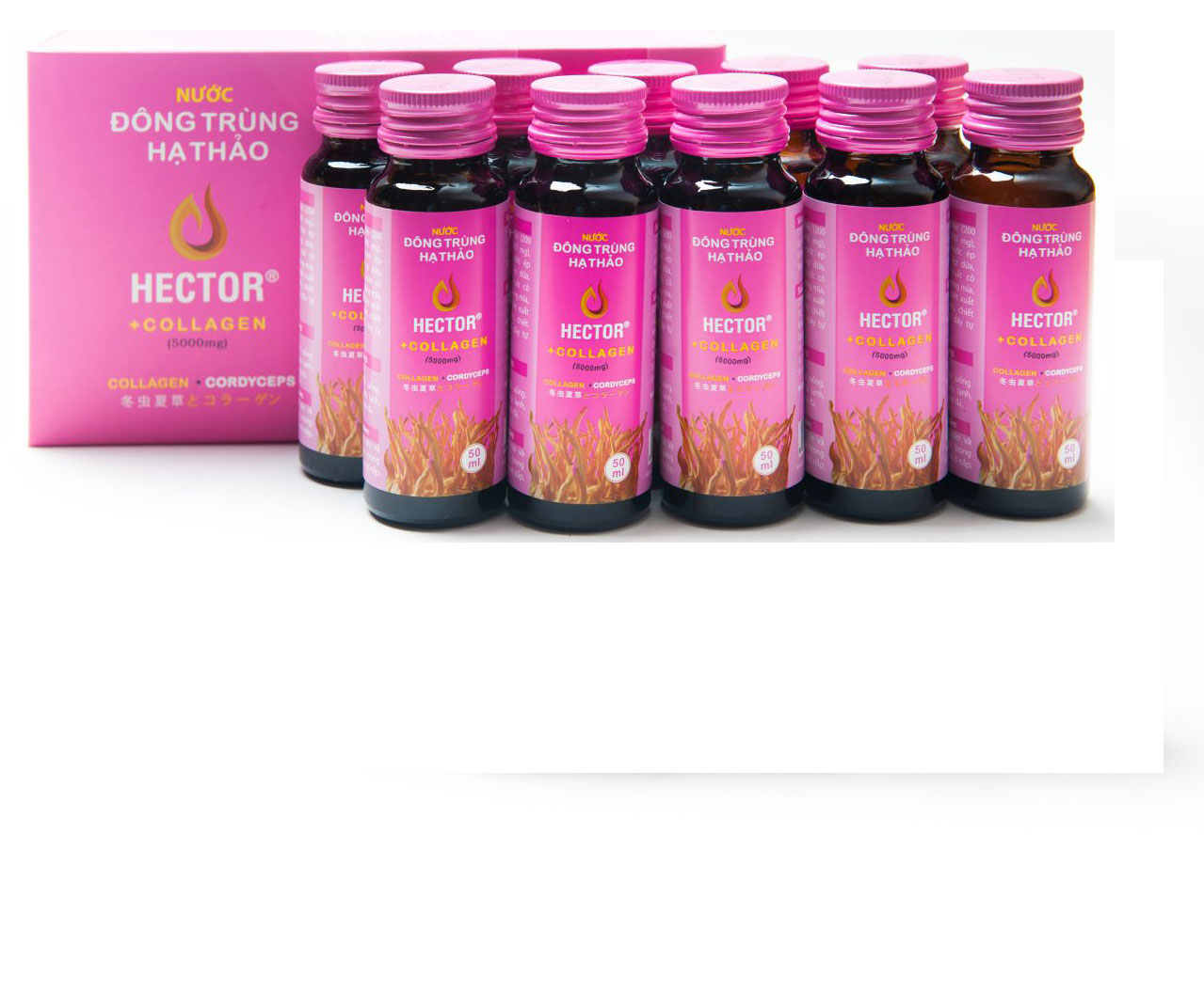 Combo 6 Hộp (60 Chai) Nước Đông Trùng Hạ Thảo Hector Collagen (Tiết kiệm 180k)