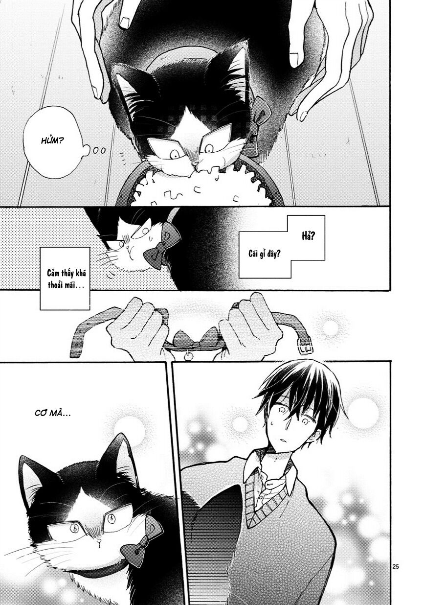 doukyonin wa hiza, tokidoki, atama no ue chapter 6.5 5