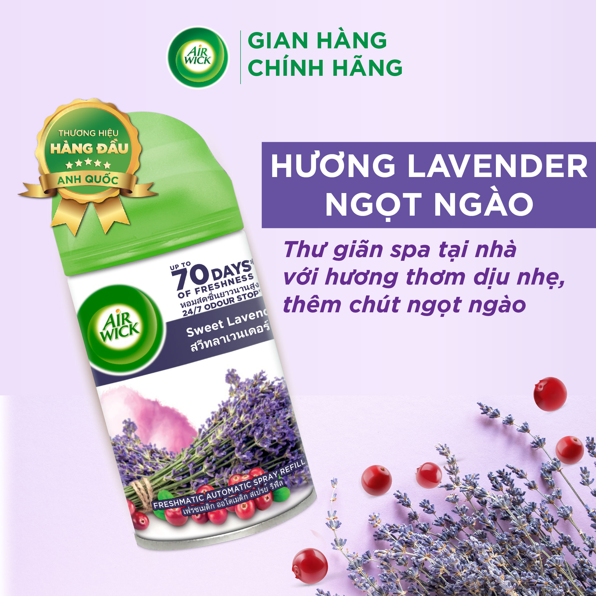 Lõi máy xịt thơm phòng tự động hương Sweet Lavender AIRWICK, hương thơm dịu ngọt, say đắm, lưu hương lâu 250ml