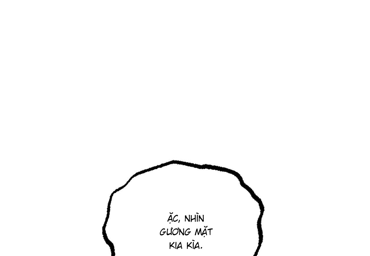 những chú thỏ của hapypy chapter 60 45