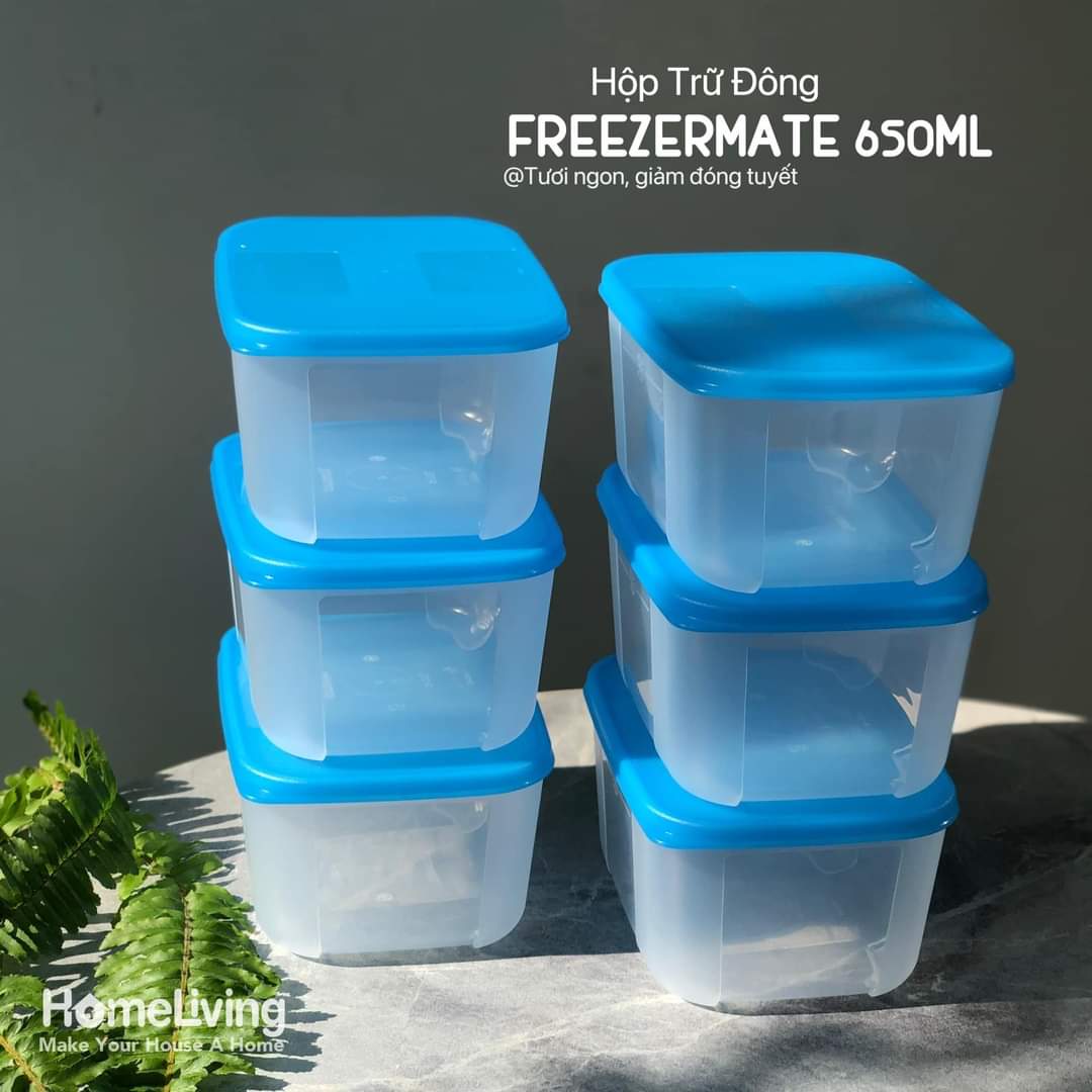 Bộ Hộp Đựng Thực Phẩm Tupperware Trữ Đông Gen I Small 650ml vuông