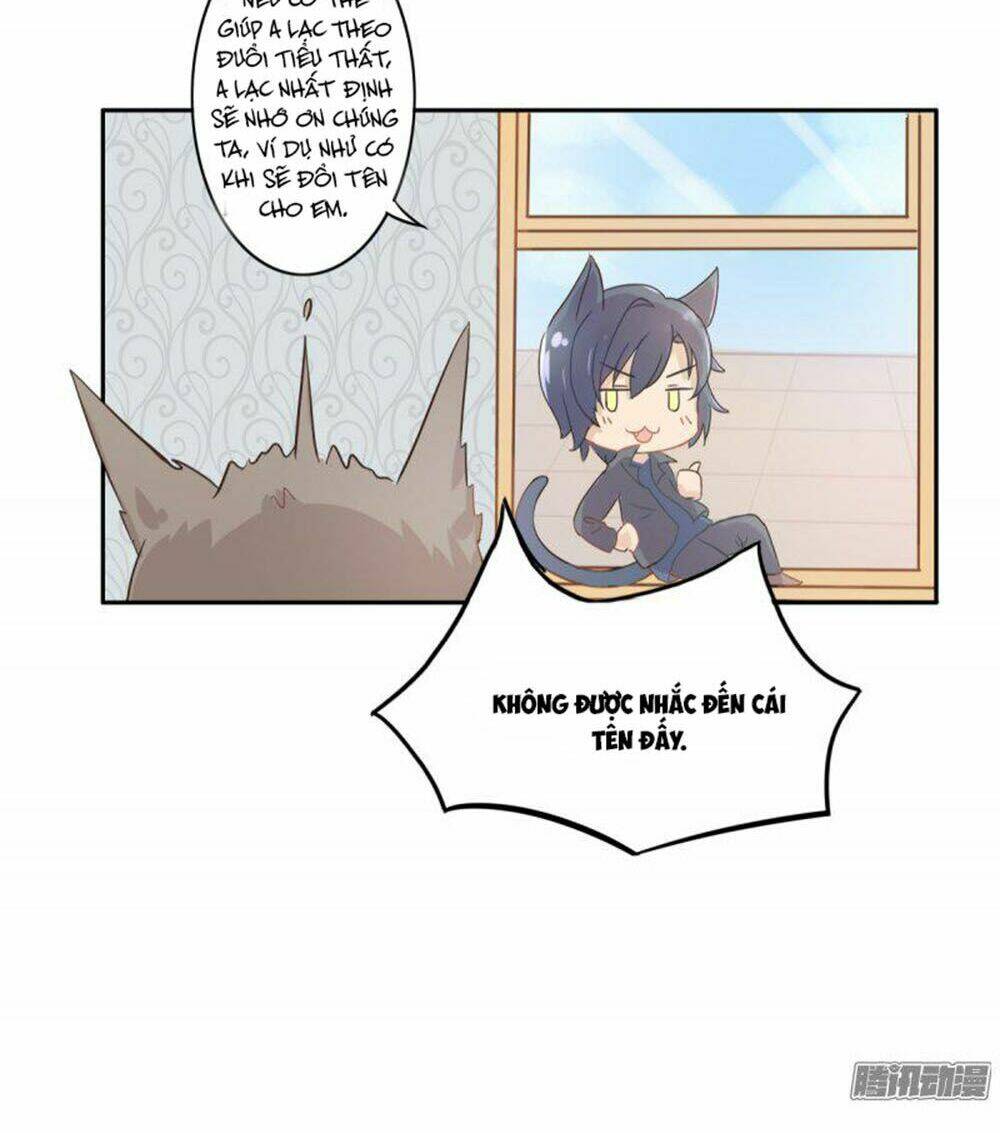 hai chú mèo totem chapter 1 30