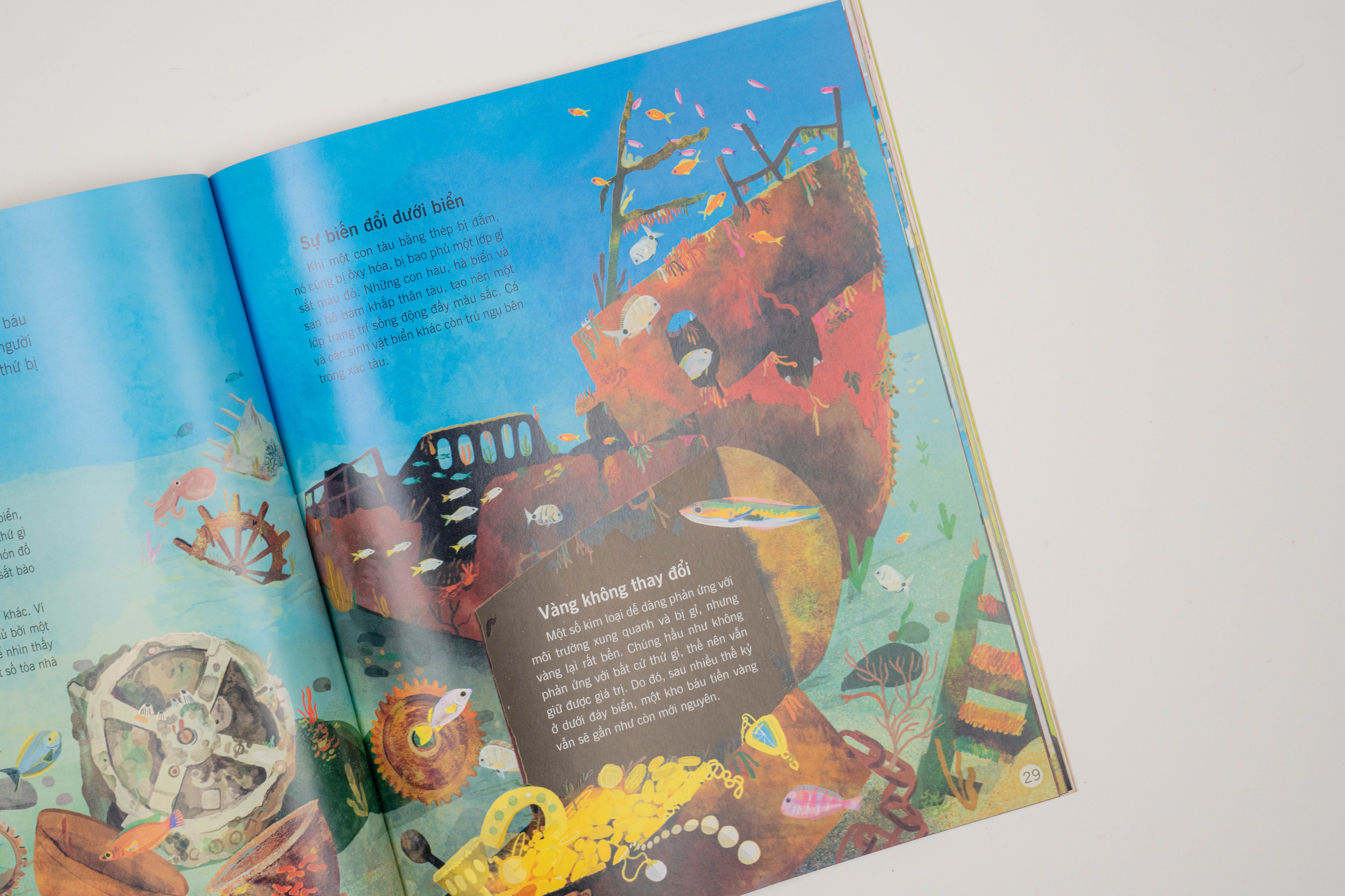 Sách - Vạn vật biến đổi - Bách khoa tri thức cho trẻ từ 6 - 12 tuổi - Đinh Tị Books