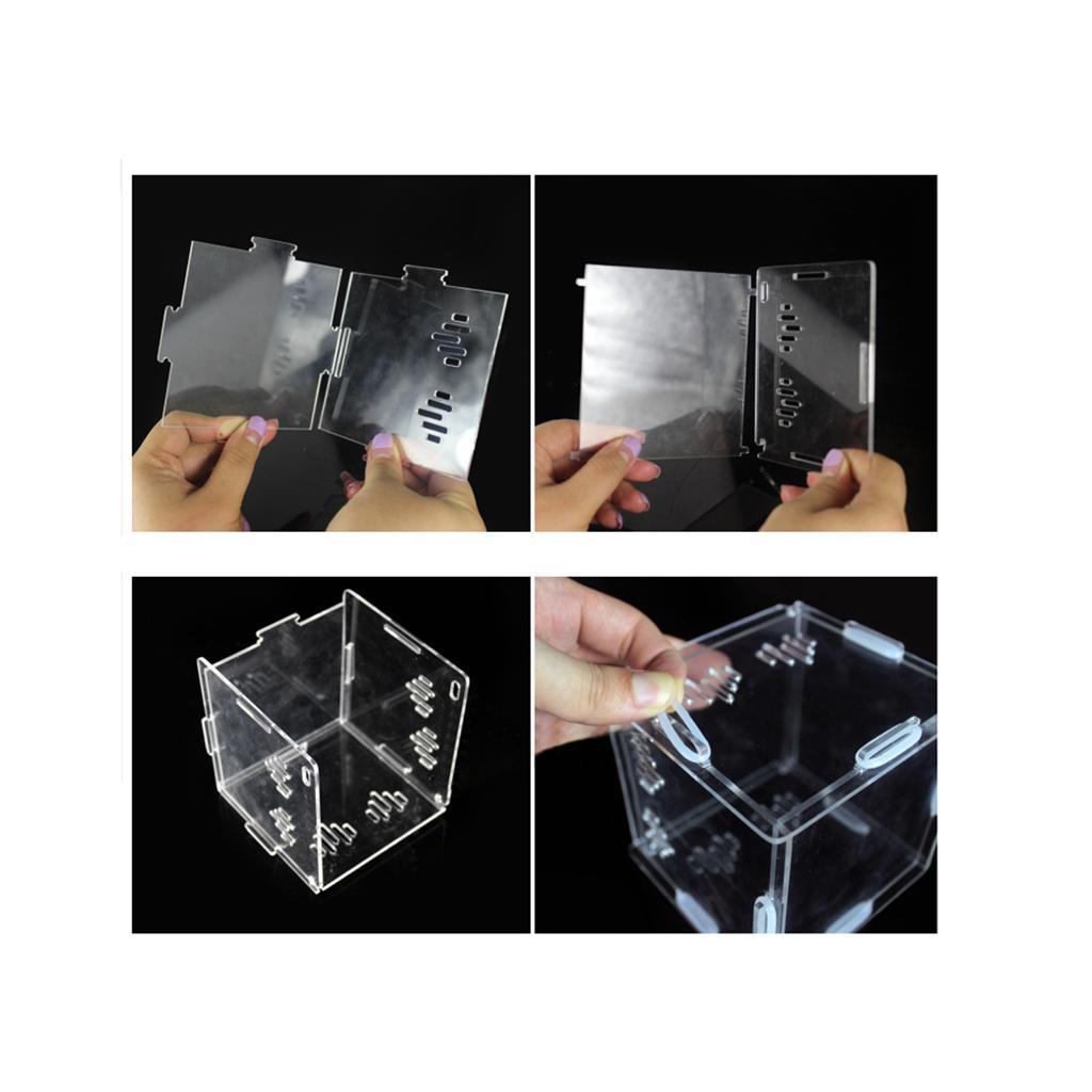 Acrylic Box Crawler Spider Scorpion Centipede Insect Feeding Insect Box - XS