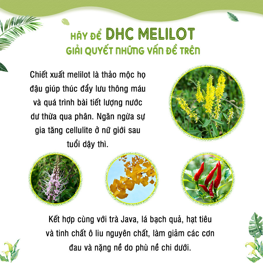 Viên uống làm thon và dài chân DHC Melilot Nhật Bản thực phẩm chức năng hỗ trợ lưu thông máu, bài tiết nước dư thừa, giảm phù nề gói 30 ngày JN-DHC-MEL30