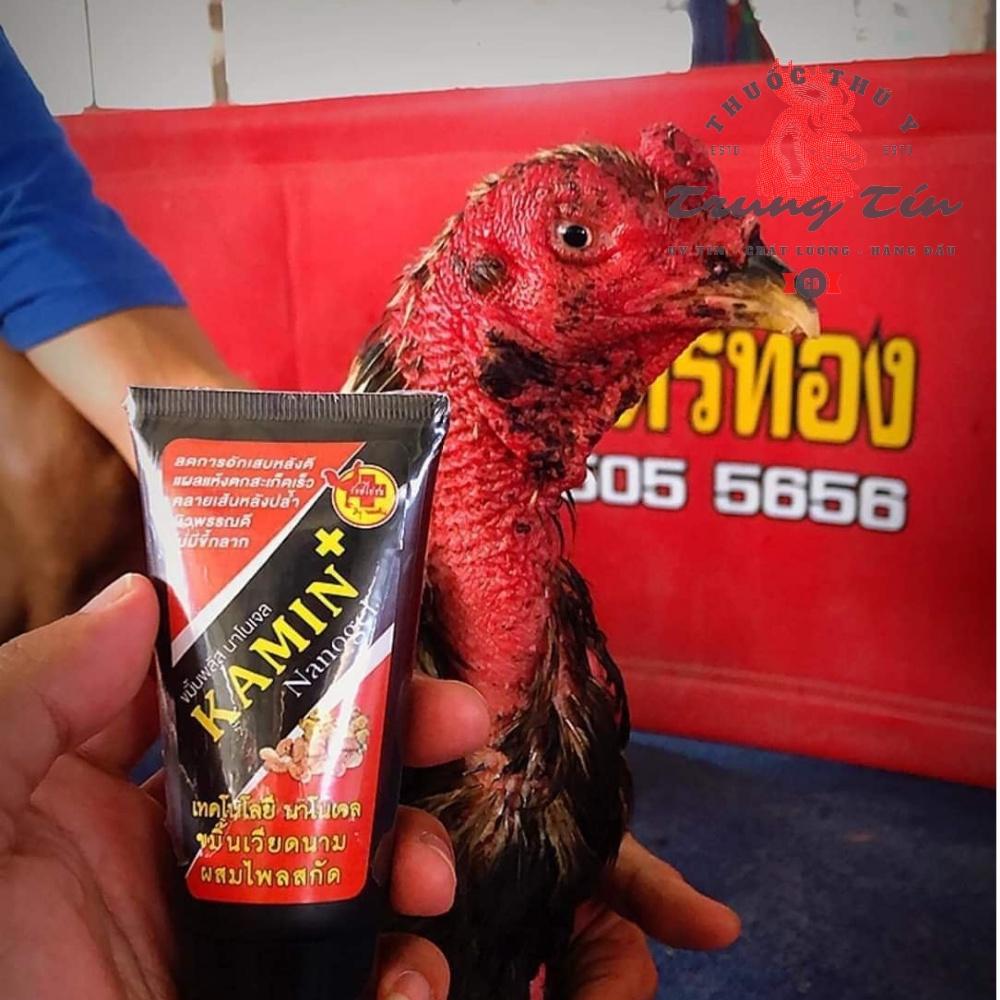 Kamin thay thế nghệ tươi - 1 típ / 60g