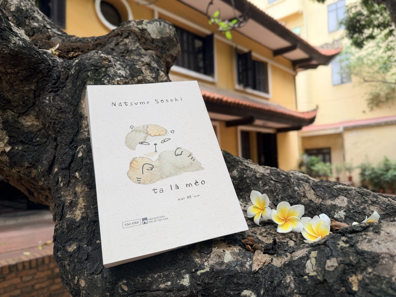 Ta Là Mèo - Natsume Soseki