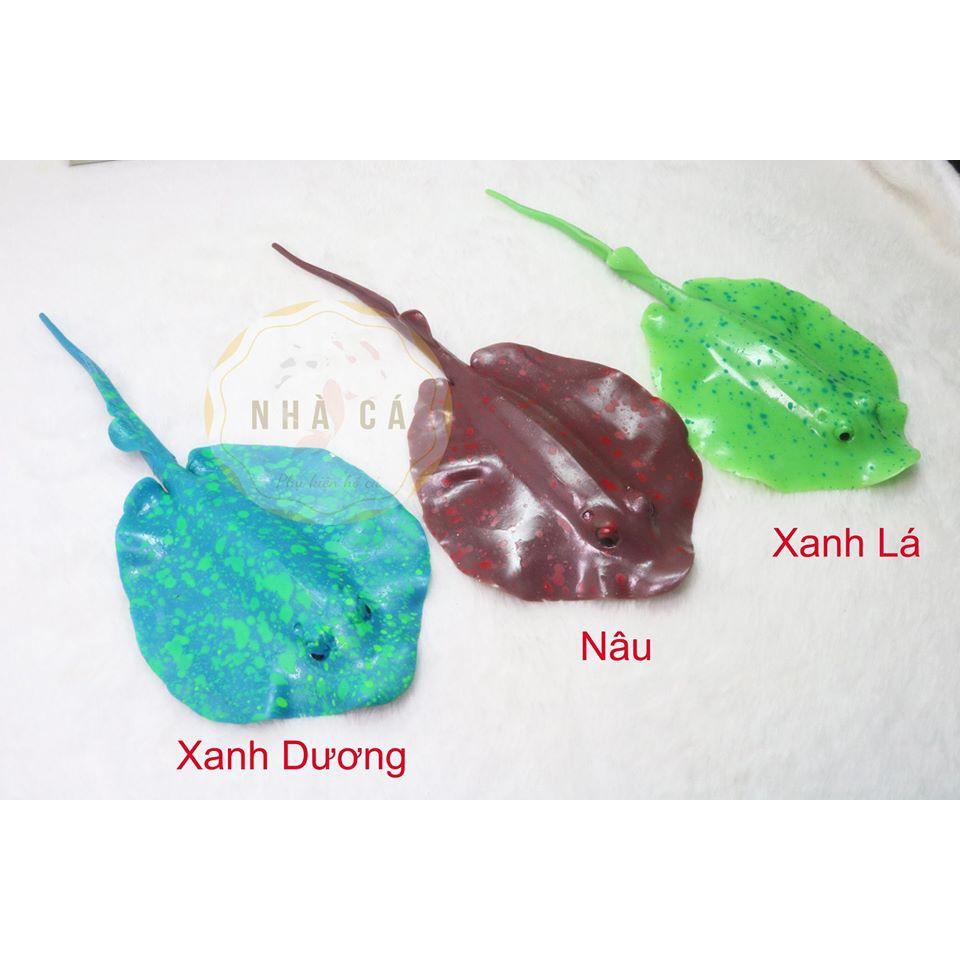 CÁ ĐUỐI DA TRƠN - PHỤ KIỆN TRANG TRÍ – PHỤ KIỆN HỒ CÁ – THỦY SINH