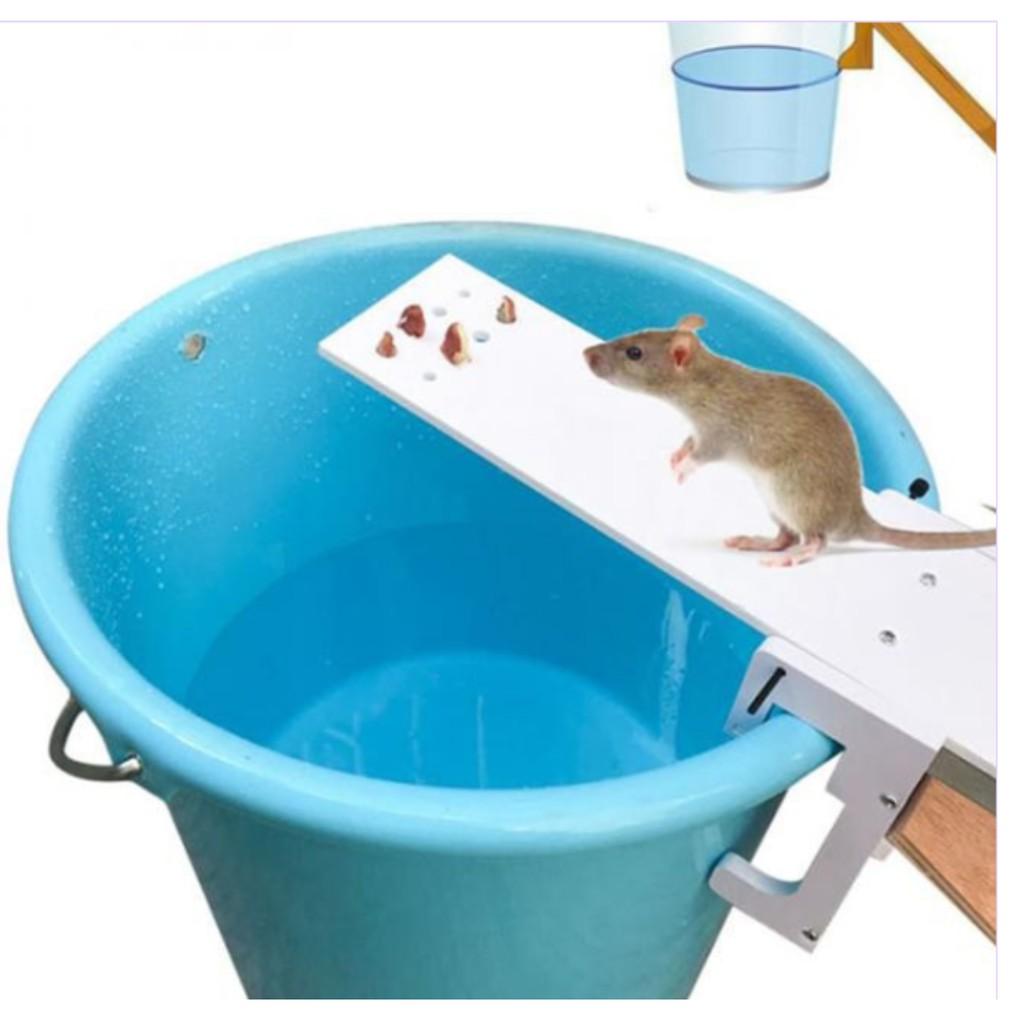 BẪY CHUỘT ĐƠN GIẢN MOUSETRAP TECH