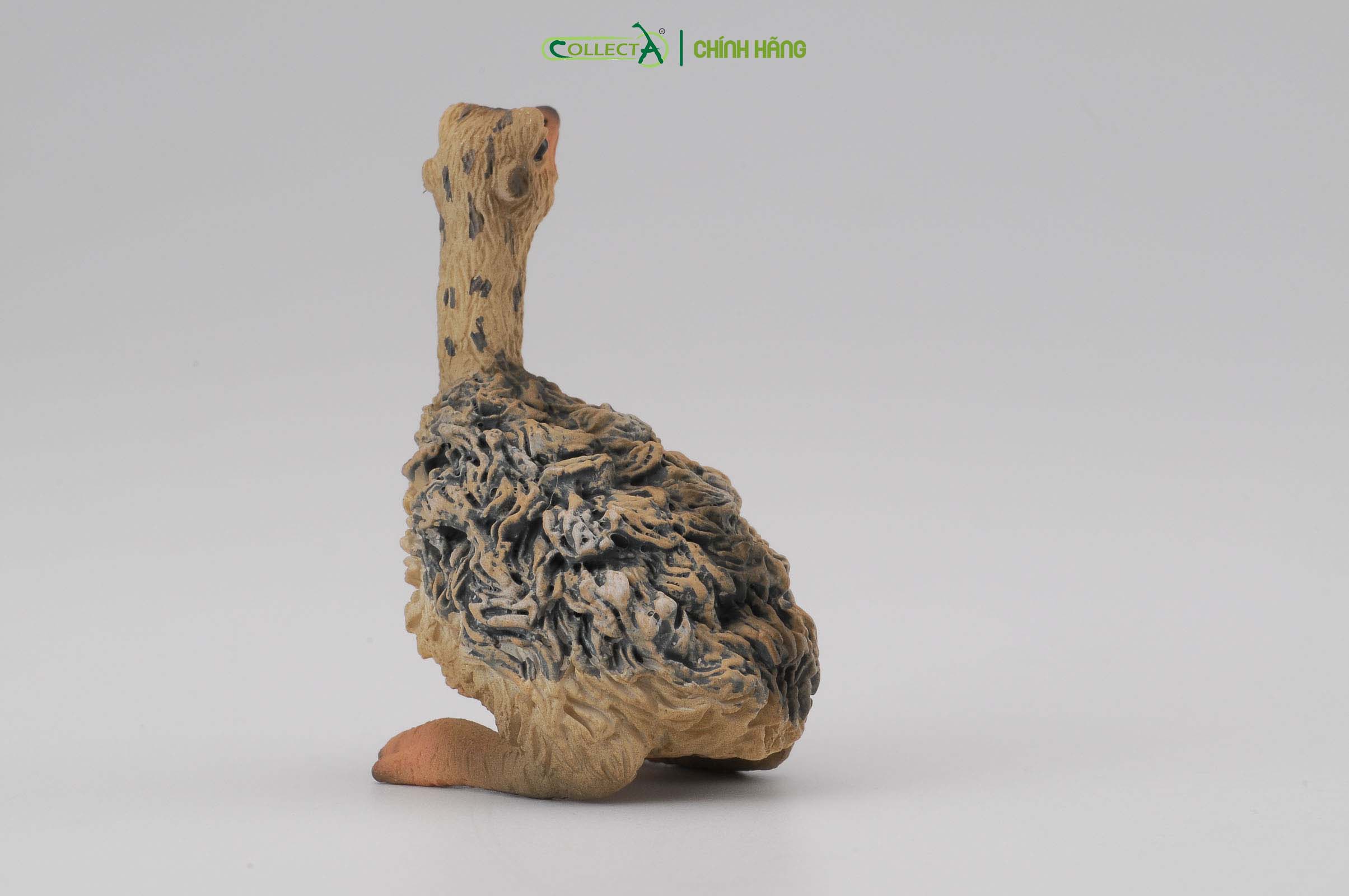 Mô hình thu nhỏ: Đà Điểu con - Ostrich Chick - Sitting, hiệu: CollectA, mã HS 9651151[88460] -  Chất liệu an toàn cho trẻ - Hàng chính hãng