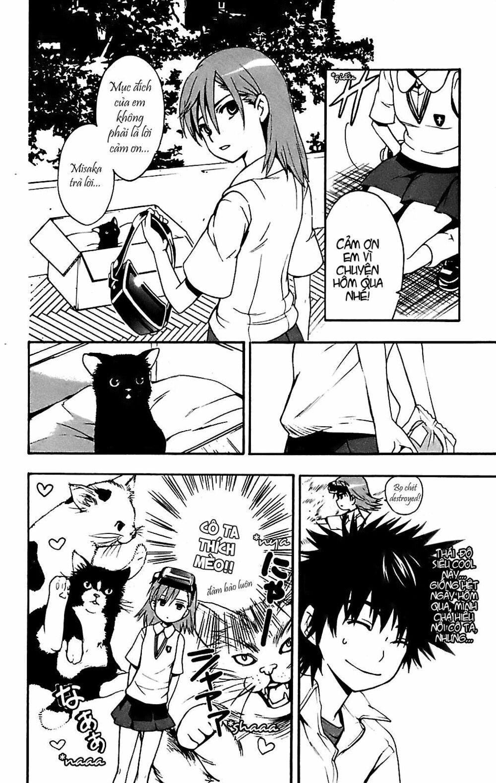 cấm thư ma thuật index chapter 13 13