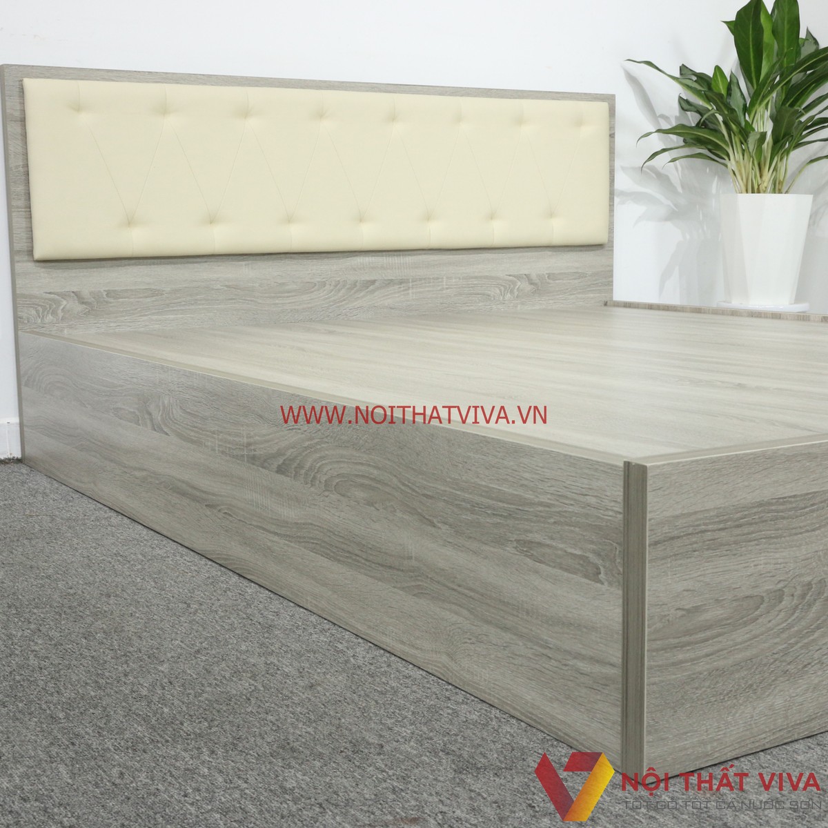 Giường Ngủ Gỗ MDF Melamine Màu Xám Vân Gỗ Có Đầu Nệm Kem Đẹp Hiện Đại