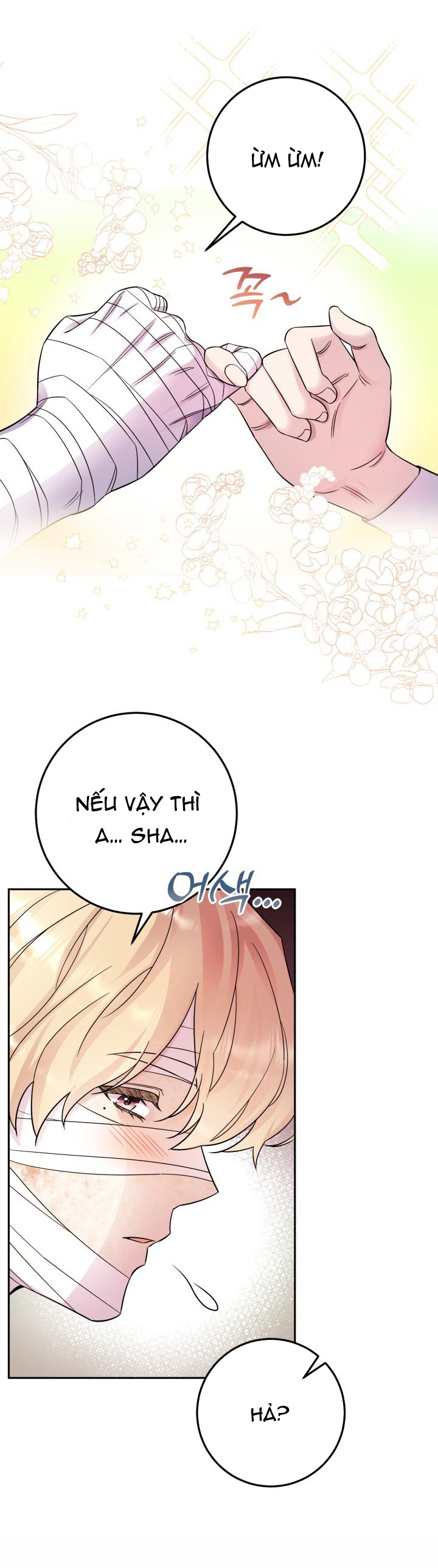 [18+] nếu cứu rỗi một cầm thú hư hỏng chapter 17.1 13