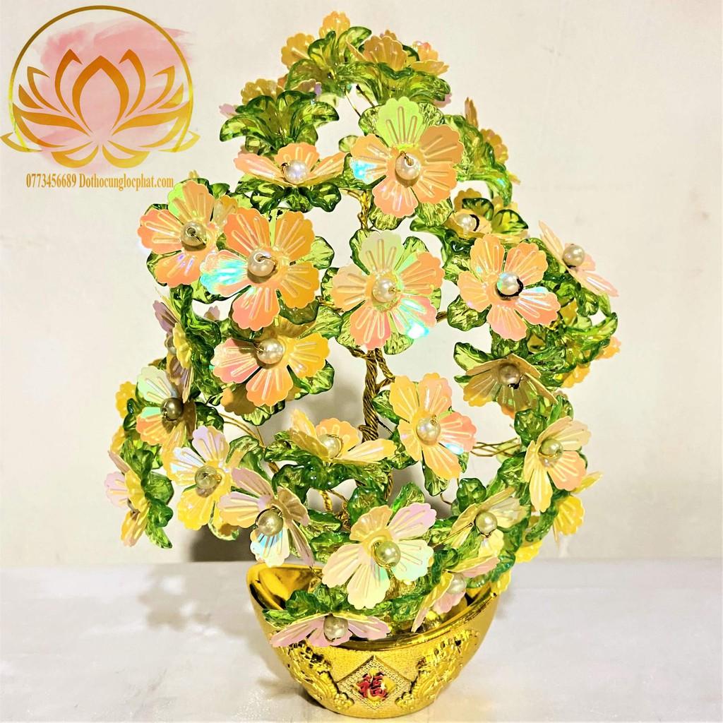 Cây Kim Tiền Chiêu Tài Lộc Trang Trí