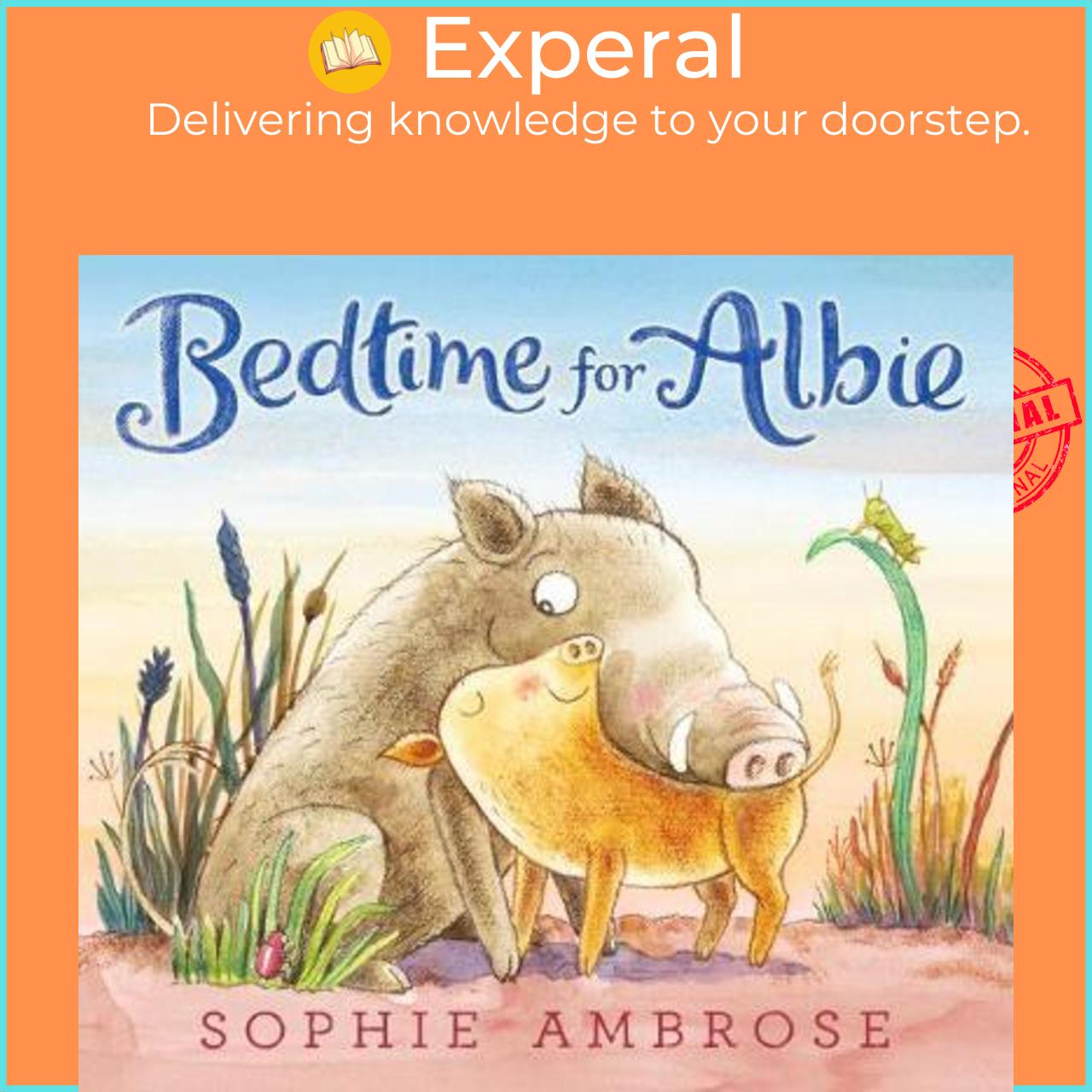 Sách - Bedtime for Albie by Sophie Ambrose