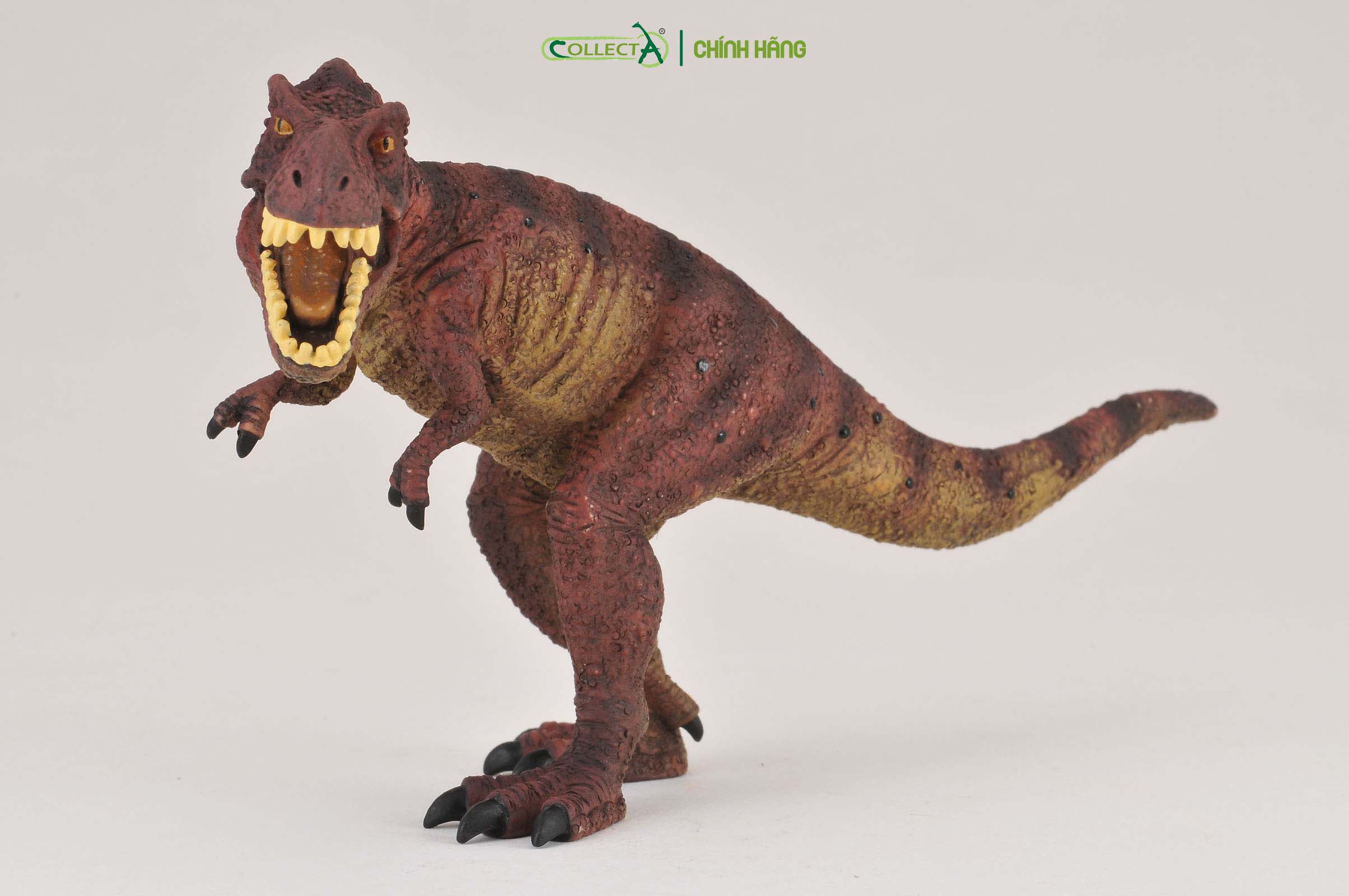 Mô hình thu nhỏ: Khủng Long Tyrannosaurus Rex  - Tyrannosaurus Rex , hiệu: CollectA, mã HS 9654080[88036] -  Chất liệu an toàn cho trẻ - Hàng chính hãng