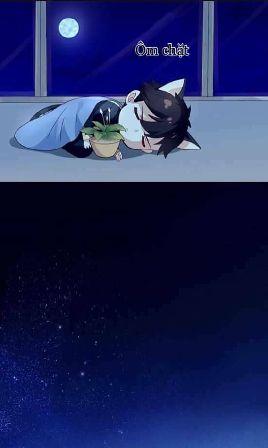 dưới móng vuốt mèo chapter 2 32