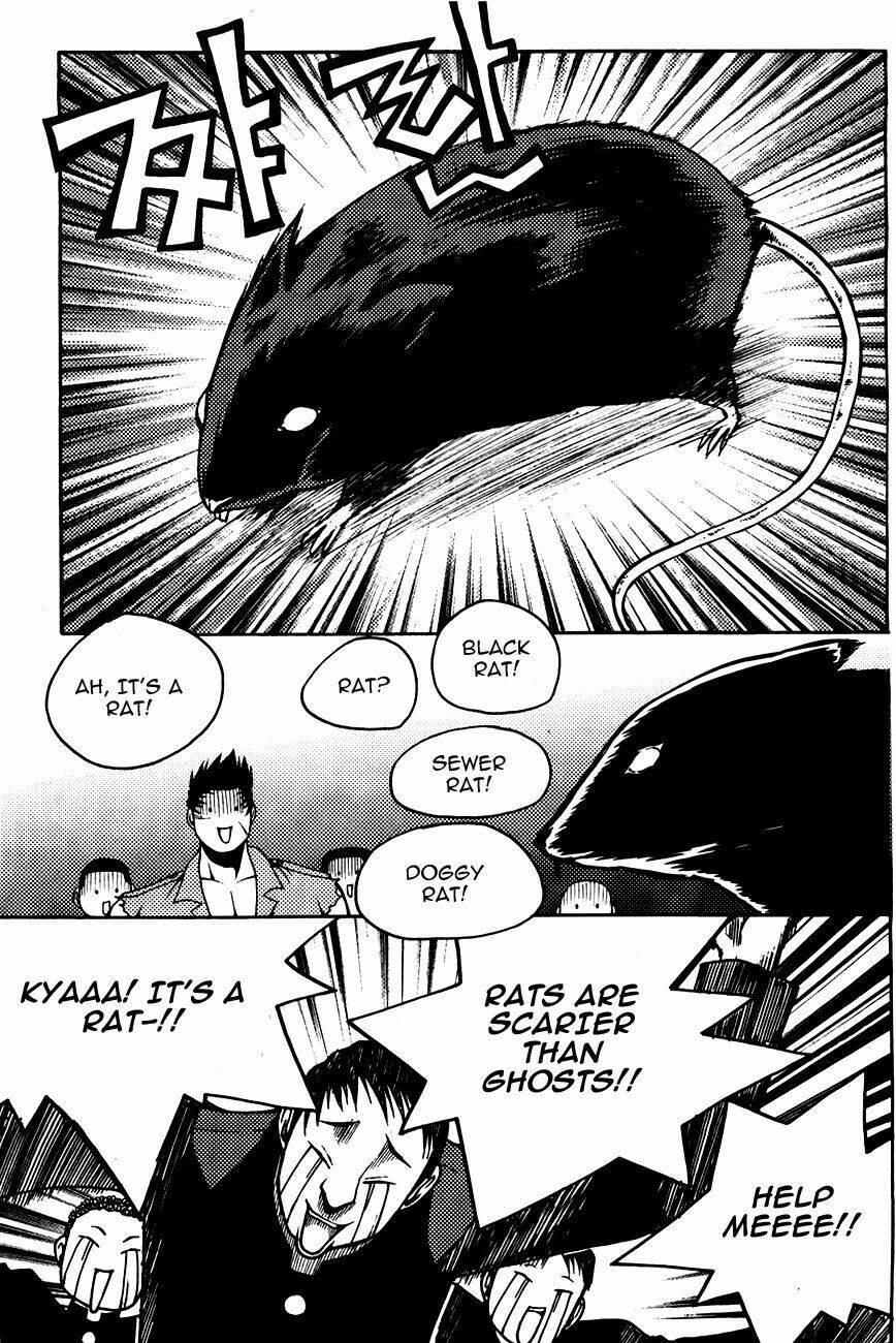 zippy ziggy chapter 71 14