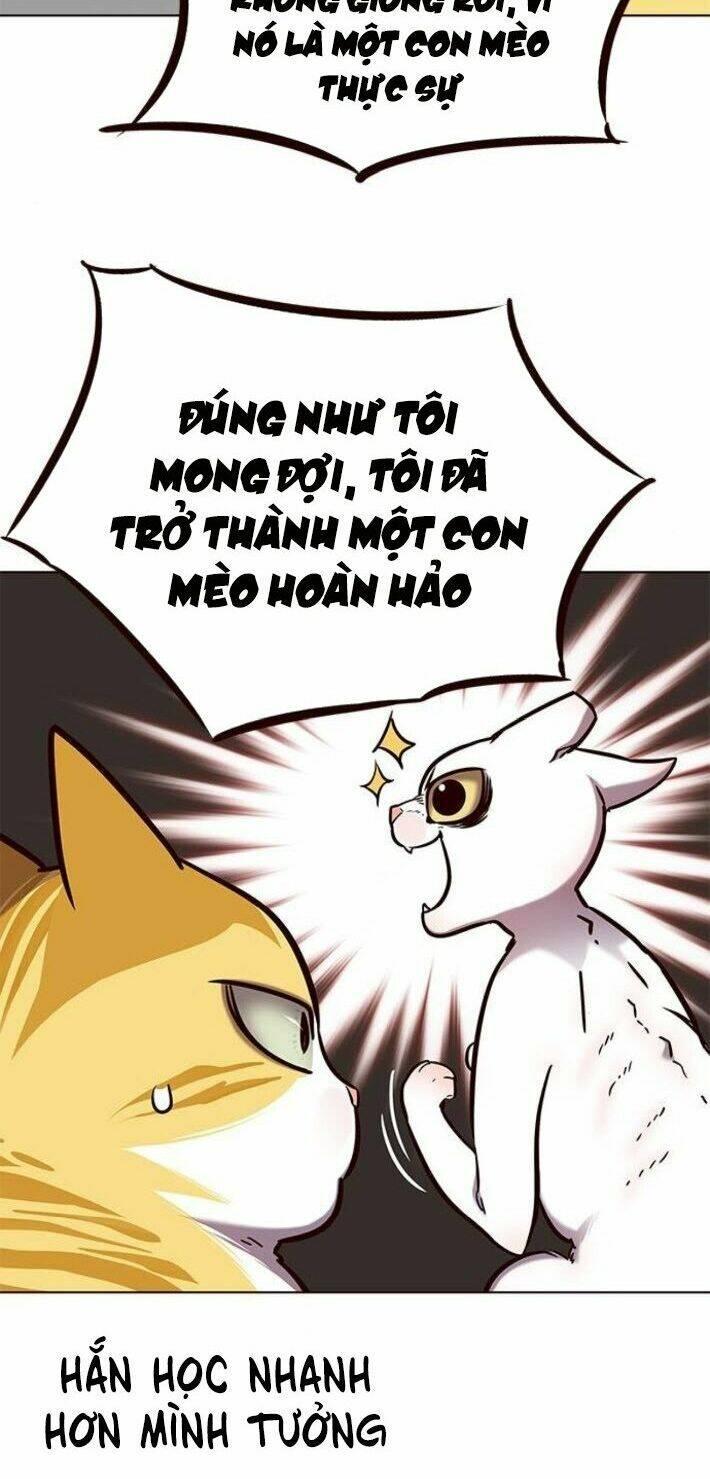 biến thân thành mèo chapter 141 67