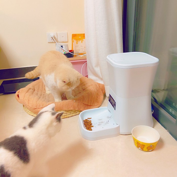 Máy Cho Mèo Ăn Tự Động Dung Tích 11L, Cài Đến 4 Bữa/ngày, Bát Ăn Tự Động Cho Chó Mèo Cao Cấp