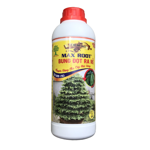 Siêu kích rễ mai vàng, phục hồi cây si Max Root chai 1 lít