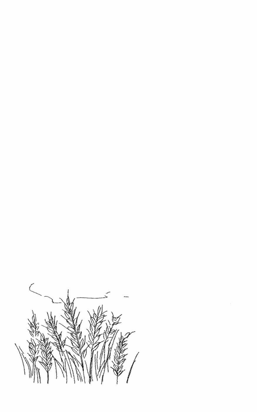 shiki no zenjitsu chapter 5 32