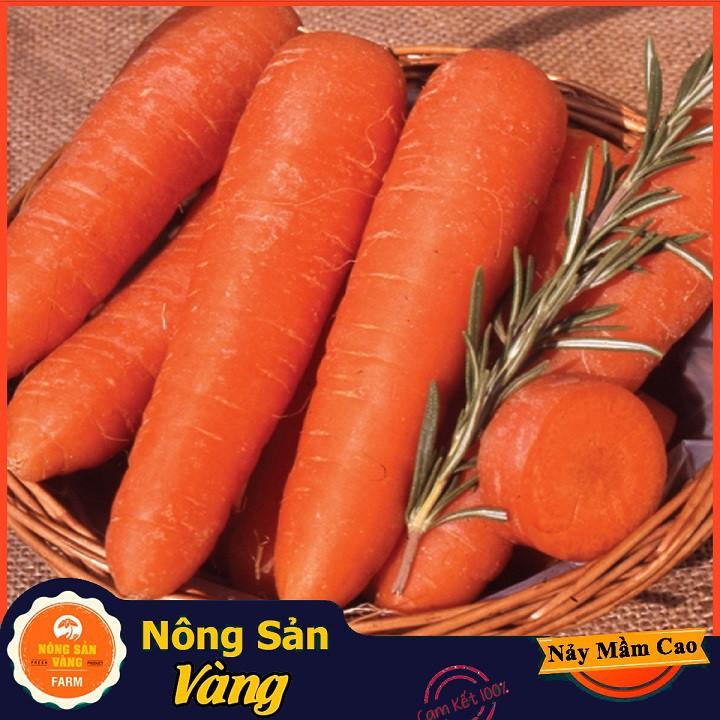 Hạt giống Cà Rốt Củ To F1