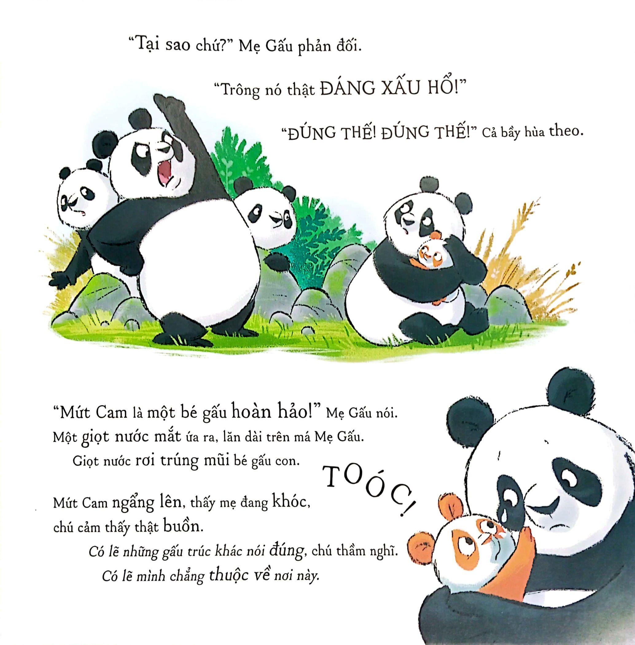 Sách - Gấu Trúc Mứt Cam